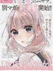 慢节奏动漫《旧书店的猫》海报